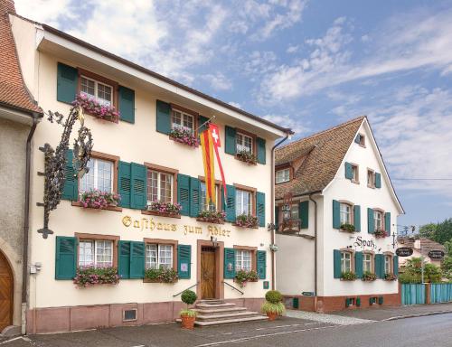Фотографии гостиницы 
            Hotel Adler - Weil am Rhein / Basel