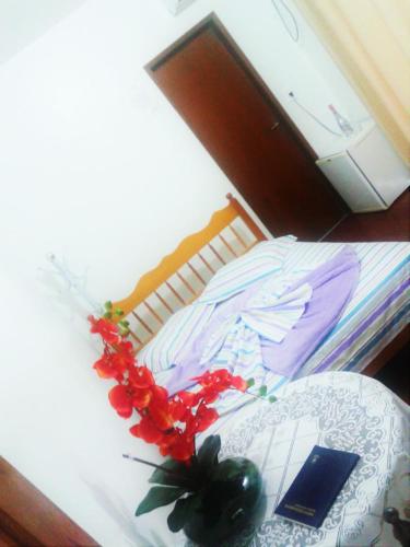 Фотография гостиницы Alfredo Wagner Park Hotel -Saulo hotel