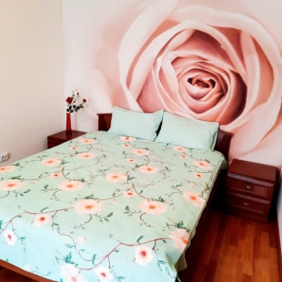 Фотография квартиры Квартира на Улице Им Разина СТ 54