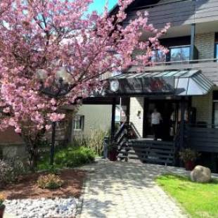 Фотографии гостиницы 
            Hotel an der Ilse