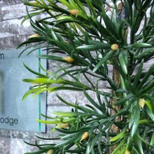 Фотографии мини отеля
Willow Lodge Hambleton