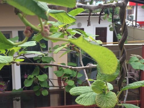 Фотографии гостевого дома
Алиса на Взлётной, 18