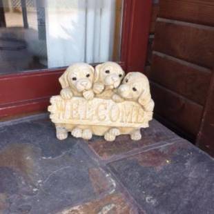 Фотографии мини отеля
Travellers Retreat B&B