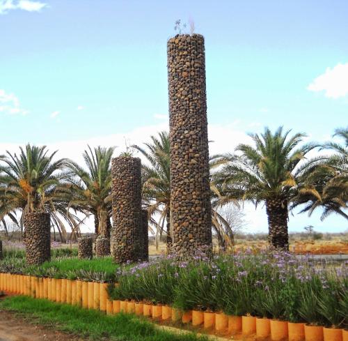 Фотография мини отеля Die Olyfhuis