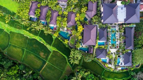 Фотография гостиницы Dwaraka The Royal Villas