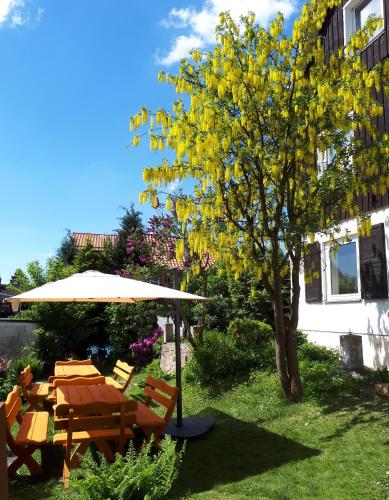 Фотография гостевого дома Villa Heidi