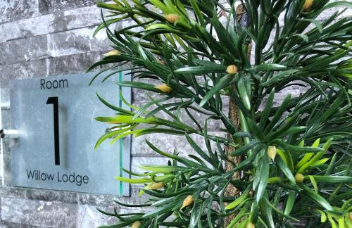 Фотография мини отеля Willow Lodge Hambleton