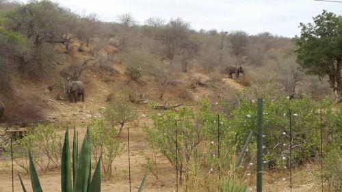 Фотография мини отеля Three Bridges B&B