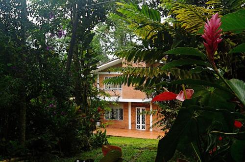 Фотографии гостиницы 
            Kaliawiri Bird Lodge & reserve
