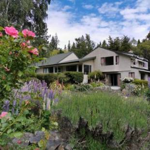 Фотографии гостевого дома
Star Dream Manor