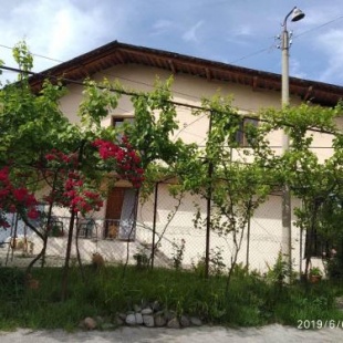 Фотография гостиницы green garden