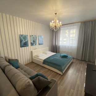 Фотография квартиры Апартаменты Квартира Баринн на Гайдара 57