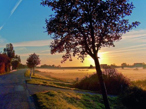 Фотография гостевого дома Gud Jard Lodge Nr. 34 - Wohngesundes Design-Ferienhaus