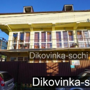 Фотография гостевого дома Диковинка-Сочи