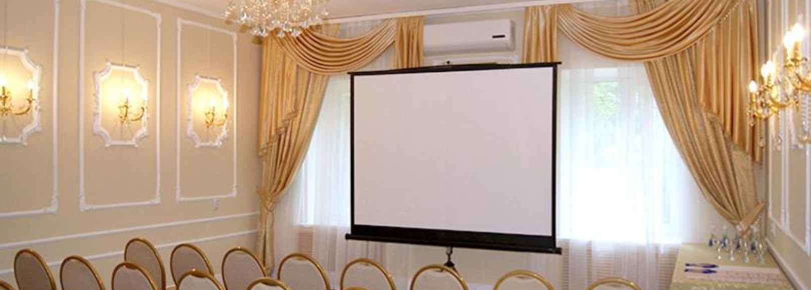 Фотография конференц-зала Звездный