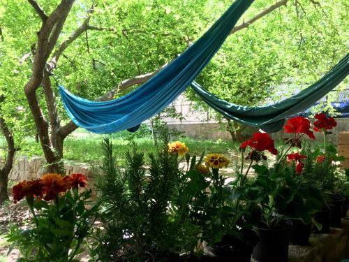 Фотография хостела Outlanders Tribe Hostel