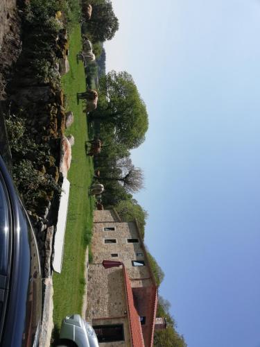 Фотография гостевого дома Hosteria Calixtino