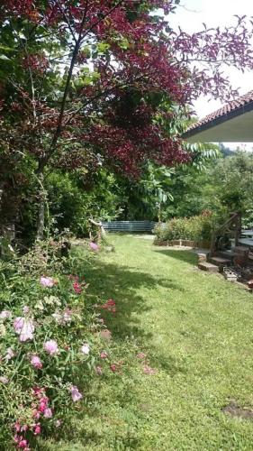 Фотография гостевого дома Sea Cinque Terre. Calm, cool, freedom good for children and pet. WiFi Parking