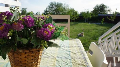 Фотографии гостевого дома
Уютный дом