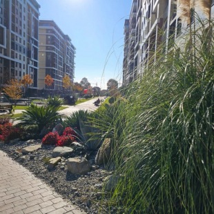 Фотография квартиры Квартира Студия с Террасой в ЖК Каравелла Португалии