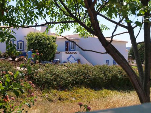 Фотография гостевого дома Quinta dos Medronheiros