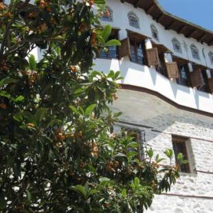 Фотографии мини отеля 
            Ta Xelidonakia