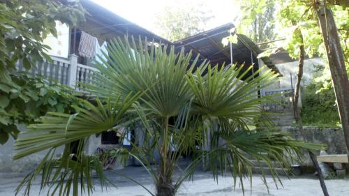 Фотография гостевого дома DONNA