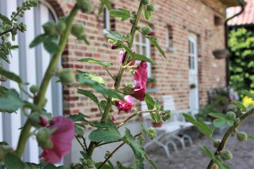 Фотография гостевого дома De Volle Maan