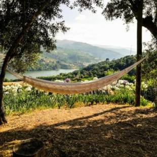 Фотографии гостевого дома
Casa da Mouta - Douro Valley