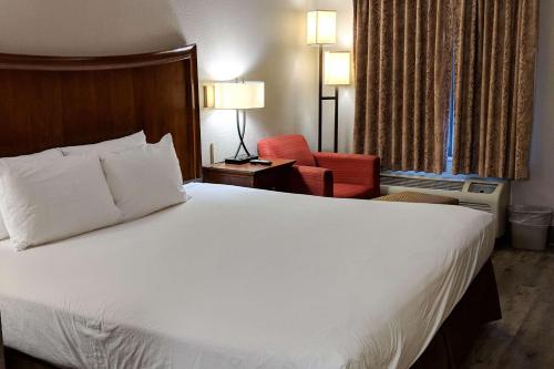 Фотография гостиницы Econo Lodge