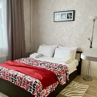 Фотография квартиры Квартира Уютная современная студия