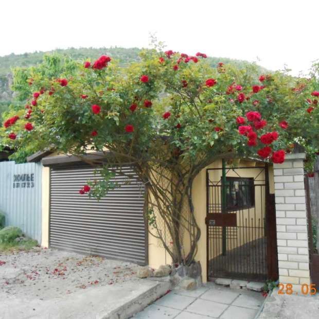 Фотографии Коттеджа
Частный дом Лазурное