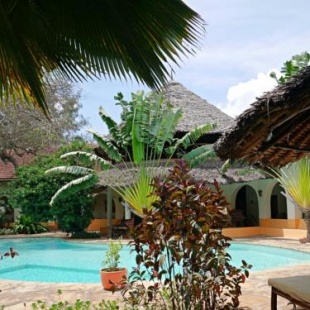 Фотография мини отеля Zarafa House