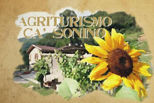 Фотография базы отдыха Agriturismo Cà Sonino