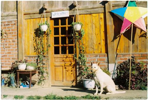 Фотография мини отеля Hmong Sister House