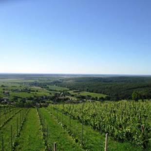 Фотографии гостевого дома
Ferienwohnung Rossmann Szapary II
