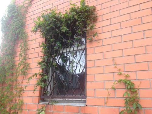 Фотография гостевого дома Ольгинка