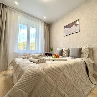 Фотография квартиры Апартаменты FSF Премиальная Двушка Мега