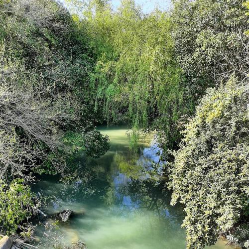 Фотографии гостевого дома
Вильямс Гостевой дом