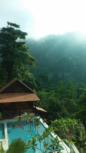 Фотография мини отеля DeSerenity