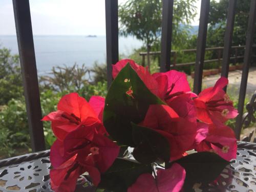 Фотография гостевого дома Casa Rosetta