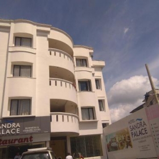 Фотография гостиницы Hotel Sandra Palace