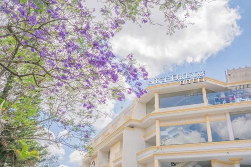 Фотография гостиницы Nice Dream Hotel