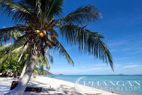Фотография гостиницы Phangan Beach Resort