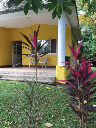 Фотография гостевого дома Casa Verónica a 2 kilometros del IRTRA