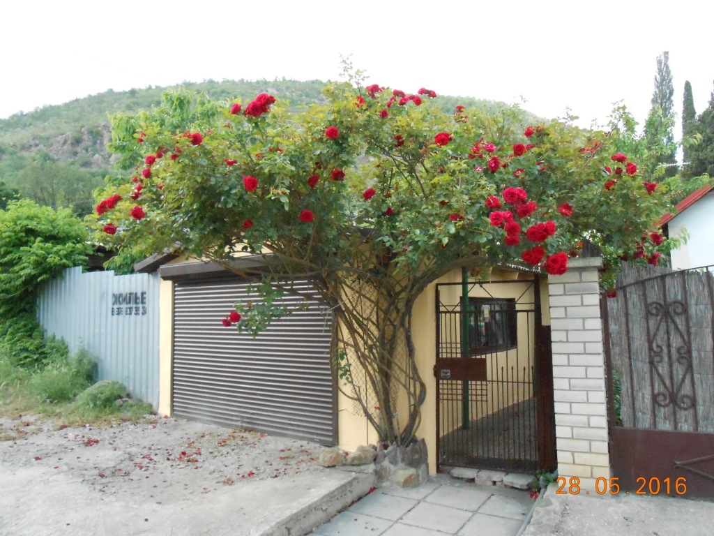 Фотография Коттеджа Частный дом Лазурное