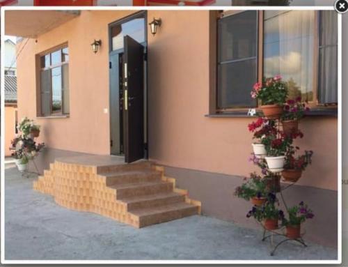 Фотография гостевого дома Гостевой дом У Розы