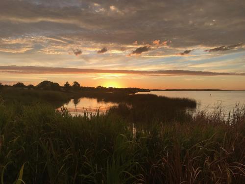 Фотография мотеля Lake Albert Motel