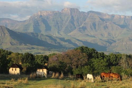 Фотография базы отдыха Ardmore Guest Farm