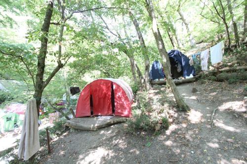 Фотография гостиницы Парус